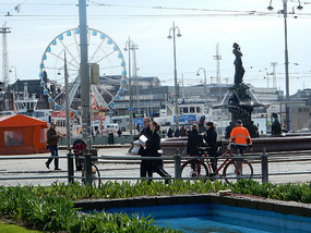 Harbour Area