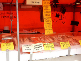 Fresh Fish