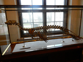Finland National Museum