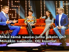 David Hasselhof Show