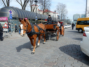 Horse Carriage