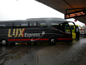 Bus