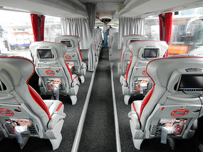Luxury Bus