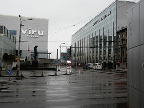 Rainy Morning