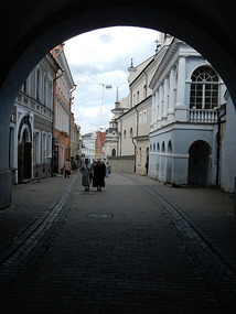 View Thru Gate
