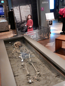 Swedish History Museum