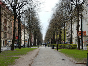 Tree Blvd