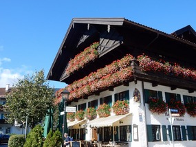 Flower Terraces