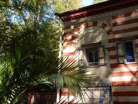 Palm Tree