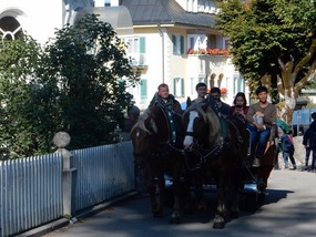 Carriage Ride