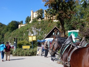 Horse Carriage