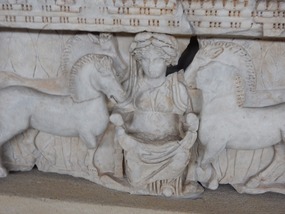 Horses