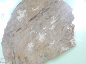 Cave Drawings