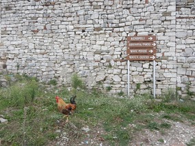 Signs