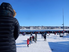 Crowds
