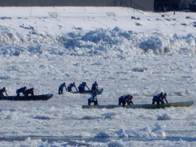 Hauling Canoes