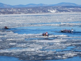 Ice Sheets