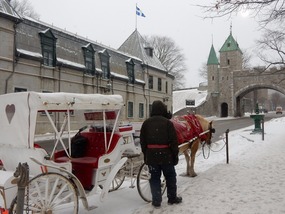 Horse Carriage