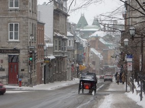 Snow Carriage Rides
