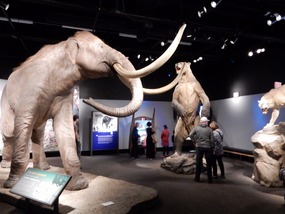Mammoth Displays