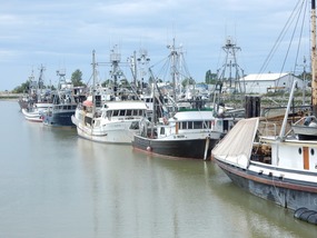 Fishing Ships