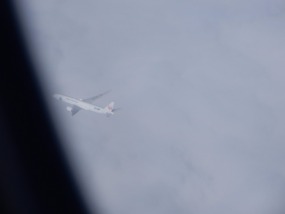 JAL Flight