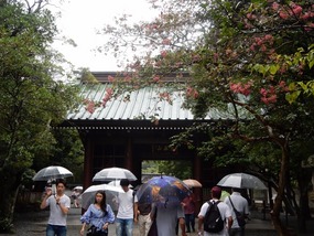 Arriving at Temple