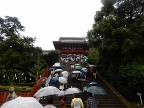 Crowds Enter