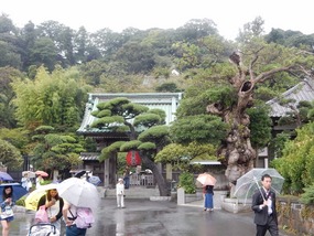 Looking for Hasa-dera Temple