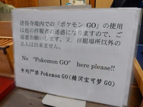 No Pokemon