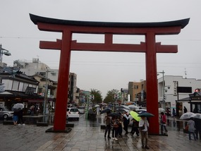 Pedestrian Street Gates