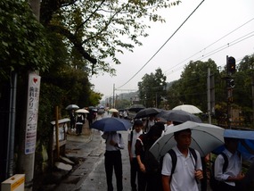 Rain Falls
