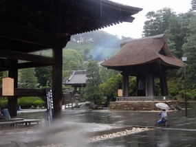 Rains