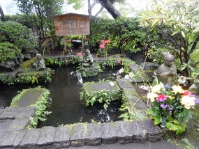 Water Garden