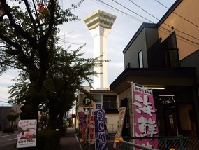 Goryokaku Tower