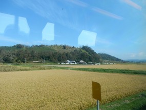 Fields