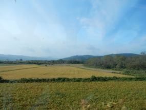 Farms