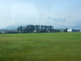 Fields