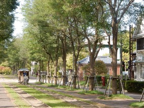 Horse Tram