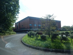 Museum Closed