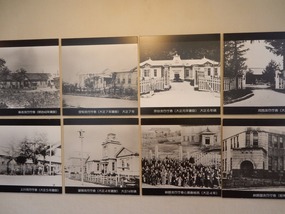 Photos
