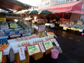 Seafood