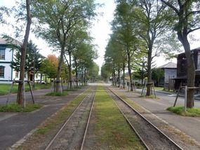 Tracks
