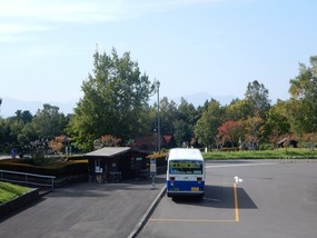 Waiting Bus