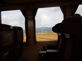 Window View