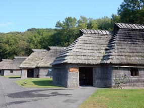 Houses