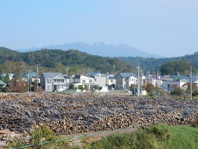 Logging