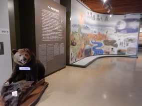 Museum