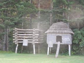 Raised House