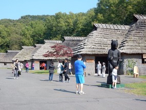 Tourists Wander